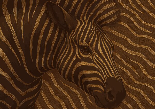 Carta da parati Zebra in vortici astratti di colore, Carta da parati lastrazione, Carta da parati popolare, t00011 - Tapeko.it