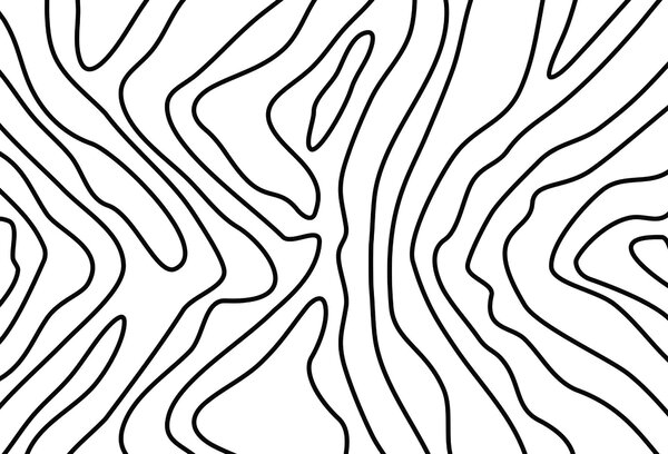 Carta da parati Motivo in bianco e nero, Carta da parati Moderno, Carta da parati popolare, t00070 - Tapeko.it
