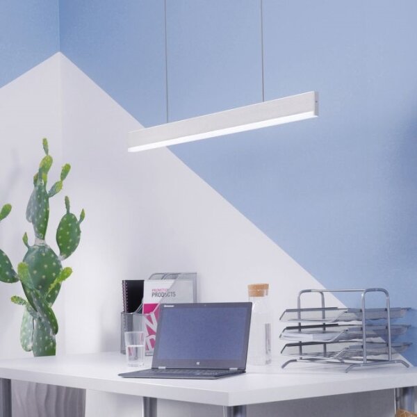 Paul Neuhaus 8363-55 - Lampadario LED dimmerabile con sensore ARINA LED/20W/230V