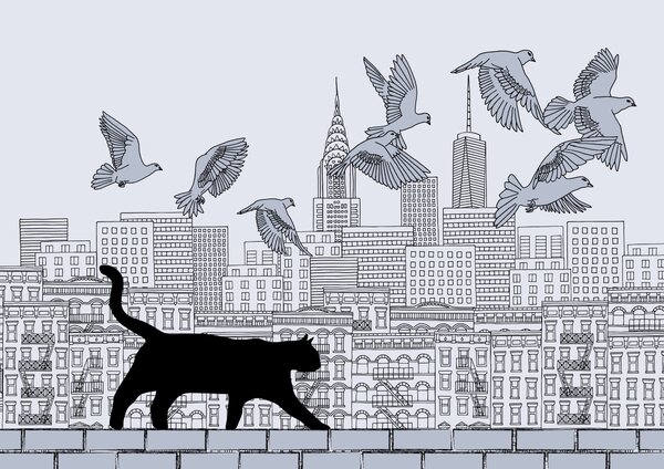 Carta da parati Gatto che cammina su un muro con uccelli che volano nel cielo, Carta da parati citta, Carta da parati popolare, t00078 - Tapeko.it