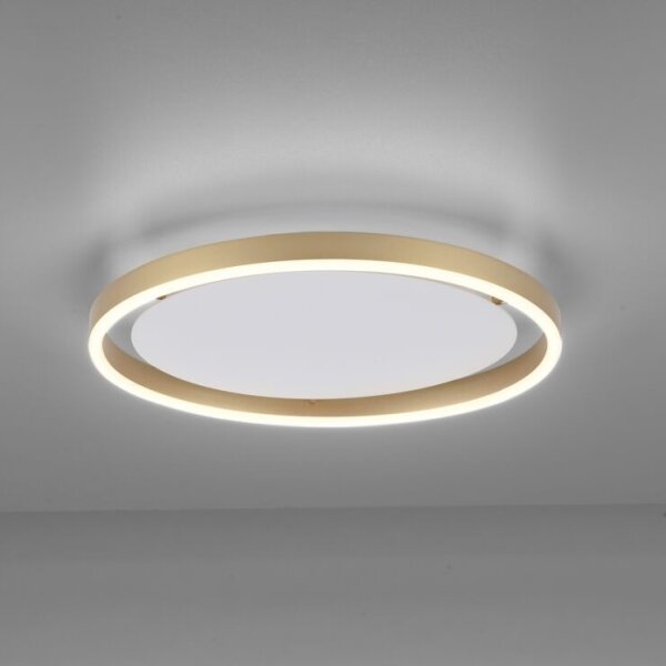 Leuchten Direkt 15391-60 - Plafoniera LED dimmerabile RITUS LED/20W/230V