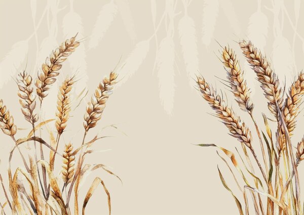 Carta da parati Pittura di grano su sfondo bianco, Carta da parati Natura, Carta da parati popolare, t00080 - Tapeko.it