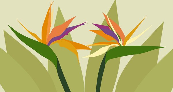 Carta da parati Fiori colorati su steli verdi, Carta da parati Natura, Carta da parati popolare, t00125 - Tapeko.it