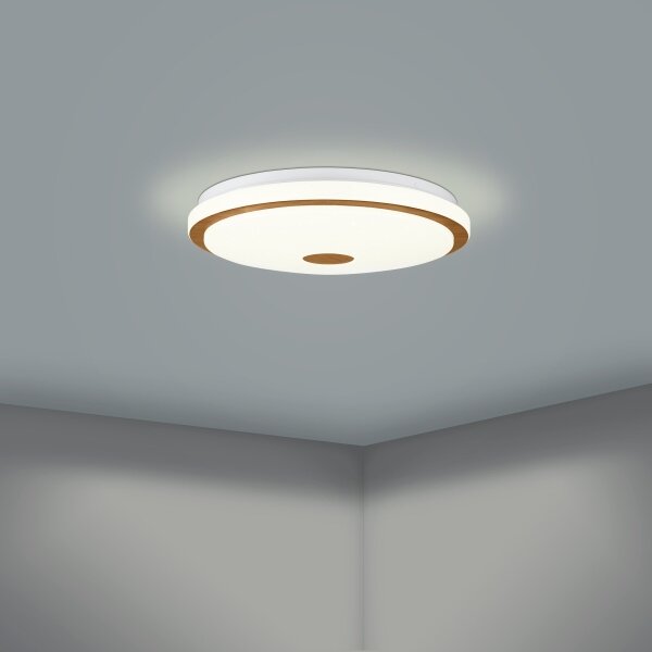 Eglo 900598 - Plafoniera LED Dimmerabile LANCIANO LED/24W/230V + tc