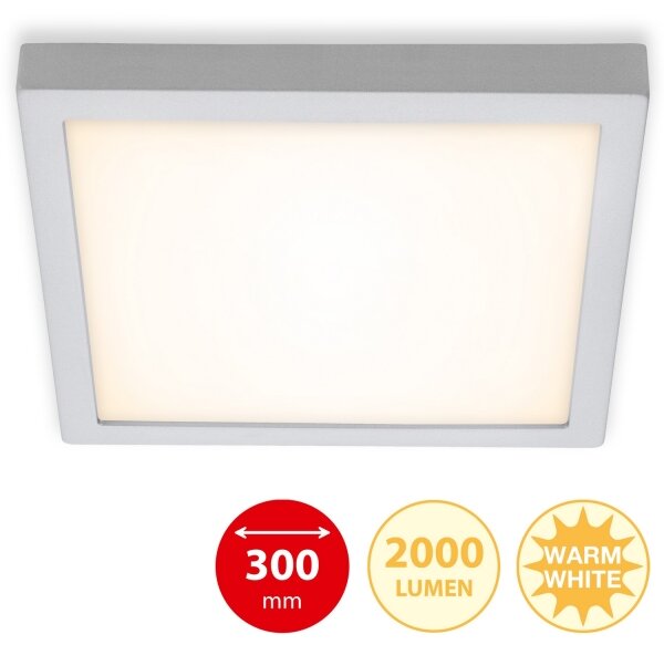 Briloner 7142-014 - Plafoniera LED FIRE LED/21W/230V 3000K