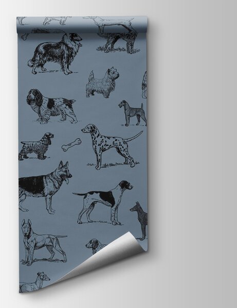 Carta da parati Gruppo di cani su sfondo blu, Carta da parati animali, Carta da parati popolare, t00173v1 - Tapeko.it
