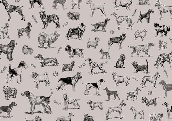 Carta da parati Gruppo di cani in pose diverse, Carta da parati animali, Carta da parati popolare, t00173 - Tapeko.it