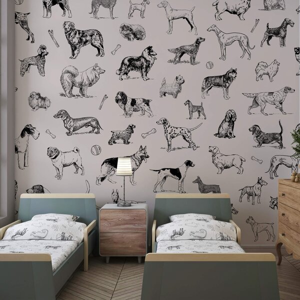 Carta da parati Gruppo di cani in pose diverse, Carta da parati animali, Carta da parati popolare, t00173 - Tapeko.it