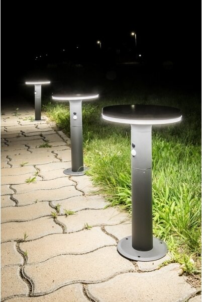 Rabalux 77018 - Luce solare a LED con sensore ALASKA LED/10W/3,7V IP44