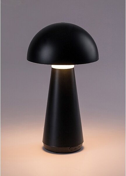 Rabalux 76007 - LED Lampada da tavolo ricaricabile touch dimmerabile ISHTAR 3W/5V 2000mAh IP44