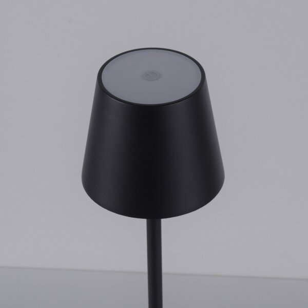 Leuchten Direkt19250-18-LED Lampada ricaricabile da esterno EURIA LED/3W/5V IP54 nero