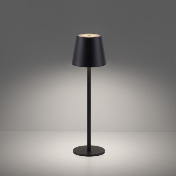 Leuchten Direkt19250-18-LED Lampada ricaricabile da esterno EURIA LED/3W/5V IP54 nero