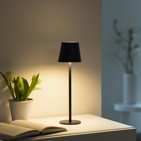 Leuchten Direkt19250-18-LED Lampada ricaricabile da esterno EURIA LED/3W/5V IP54 nero