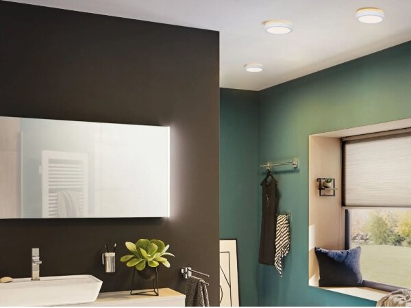 Paulmann 78923 - LED/13W IP44 Plafoniera dimmerabile da bagno AVIAR 230V