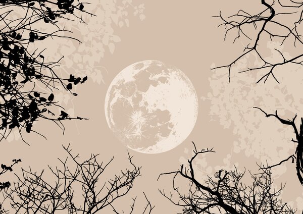 Carta da parati La luna nel cielo, Carta da parati Natura, Carta da parati popolare, t00316 - Tapeko.it