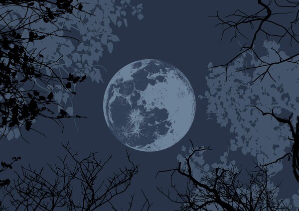 Carta da parati La luna nel cielo, Carta da parati Natura, Carta da parati popolare, t00316v1 - Tapeko.it
