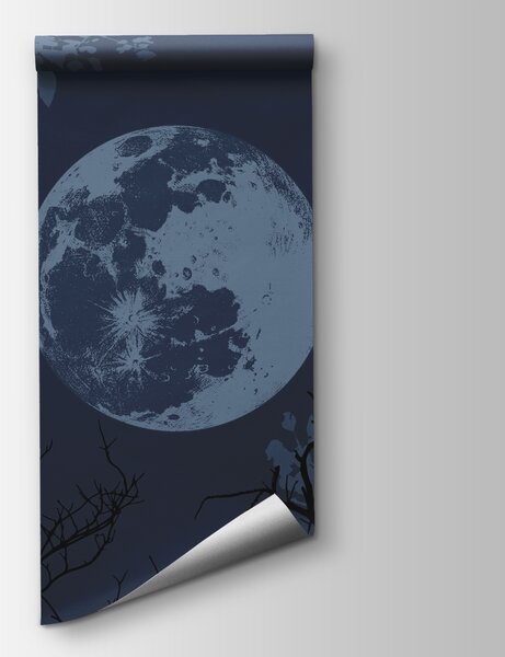 Carta da parati La luna nel cielo, Carta da parati Natura, Carta da parati popolare, t00316v1 - Tapeko.it