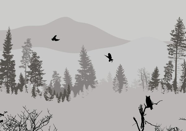 Carta da parati Uccelli in volo su una montagna innevata, Carta da parati Natura, Carta da parati popolare, t00323 - Tapeko.it