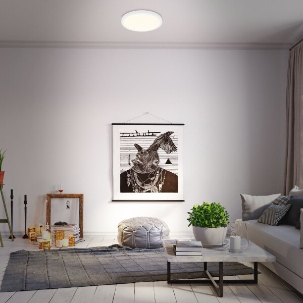 Briloner 3704-016 - Plafoniera LED dimmerabile RUNA LED/22W/230V bianco + +TC