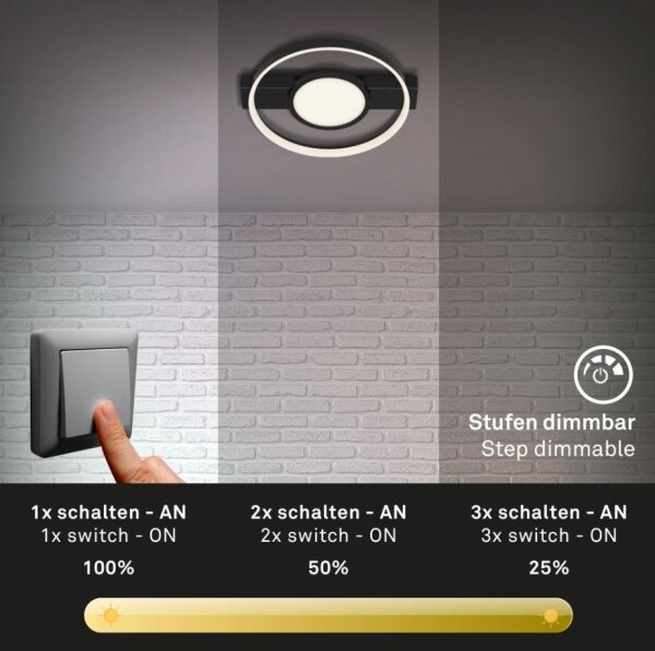 Briloner 3026-015 - Plafoniera LED dimmerabile FRAME LED/33W/230V