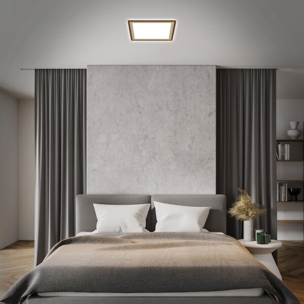 Briloner 7459-417 - Plafoniera LED dimmerabile DECO LED/24W/230V + +TC