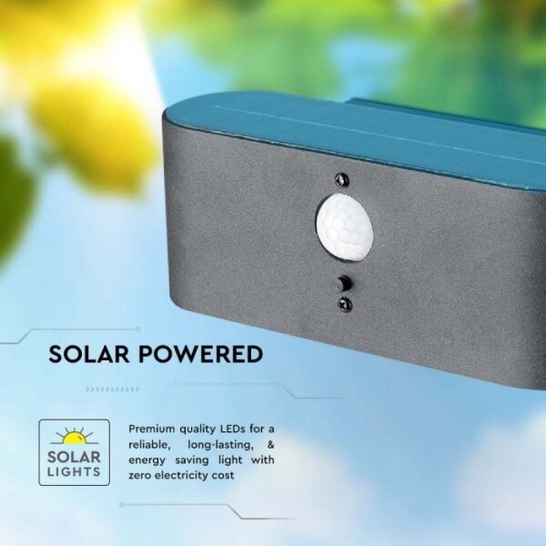 Lampada solare da parete LED esterna con sensore LED/2,5W/3,7V 3000K IP54