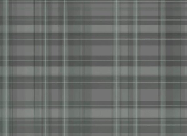 Carta da parati Plaid grigio e nero, Carta da parati lastrazione, Carta da parati popolare, t00359 - Tapeko.it