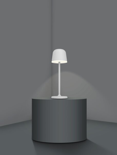 Eglo 900458 - Lampada LED dimmerabile esterna MANNERA 2,2W/5V 1800mAh grigia IP5