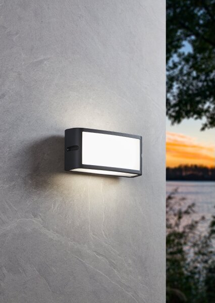 Eglo 900808- Applique a LED da esterno CAMARDA LED/10,5W/230V antracite IP54