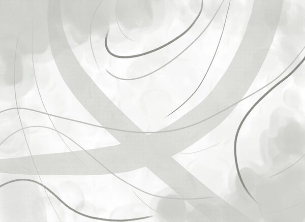 Carta da parati Sfondo bianco e grigio con linee e curve, Carta da parati lastrazione, Carta da parati popolare, t00422v1 - Tapeko.it