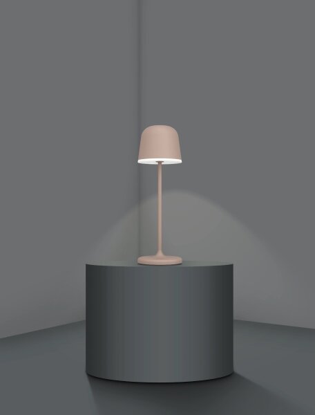 Eglo 900459 -Lampada LED dimmerabile da esterno MANNERA 2,2W/5V 1800mAh marrone IP54