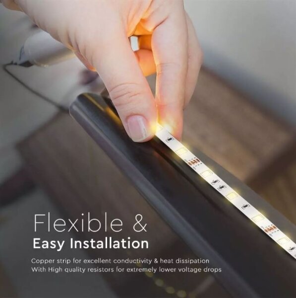 Striscia LED RGB dimmerabile 2x5m LED/4,8W/230V + TC