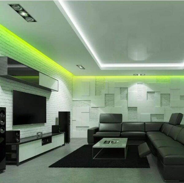 Striscia LED RGB dimmerabile 2x5m LED/4,8W/230V + TC