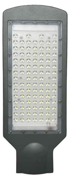Lampada stradale LED LED/100W/170-400V IP65