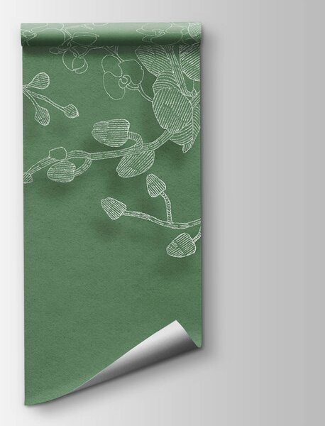 Carta da parati Delicate orchidee su uno sfondo verde, Carta da parati Floreale, Carta da parati popolare, t00526 - Tapeko.it