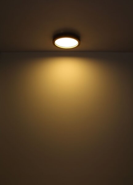 Globo 41374-24 - Plafoniera LED RGBW dimmerabile BRANZA LED/24W/230V + +TC