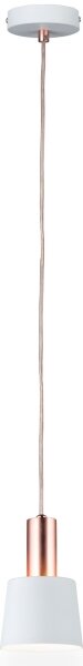 Paulmann 79656 - 1xE14/20W Lampadario a sospensione con filo NEORDIC HALDAR 230V