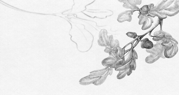 Carta da parati Disegno di un ramo con foglie, Carta da parati Moderno, Carta da parati popolare, t00475 - Tapeko.it