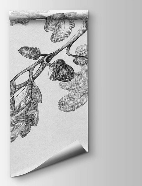 Carta da parati Disegno di un ramo con foglie, Carta da parati Moderno, Carta da parati popolare, t00475 - Tapeko.it