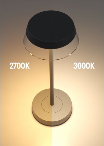 Redo 90312 - Lampada da tavolo LED dimmerabile ILUNA LED/2,5W/5V 3000 mAh IP65 nero