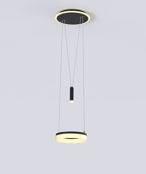 Wofi 6054-302 - Lampadario a sospensione con filo LED dimmerabile JESSE LED/15,5W/230V nero