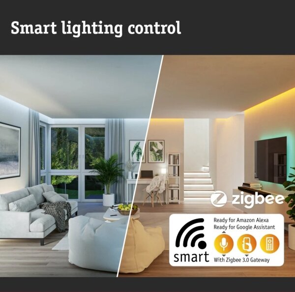 Paulmann 79825 - Lampada LED dimmerabile SMART VELORA 10,5W 230V 2700-6500K