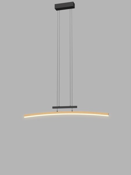 Wofi 7020-106 - Lampadario a sospensione con filo LED dimmerabile BOLOGNA LED/27W/230V