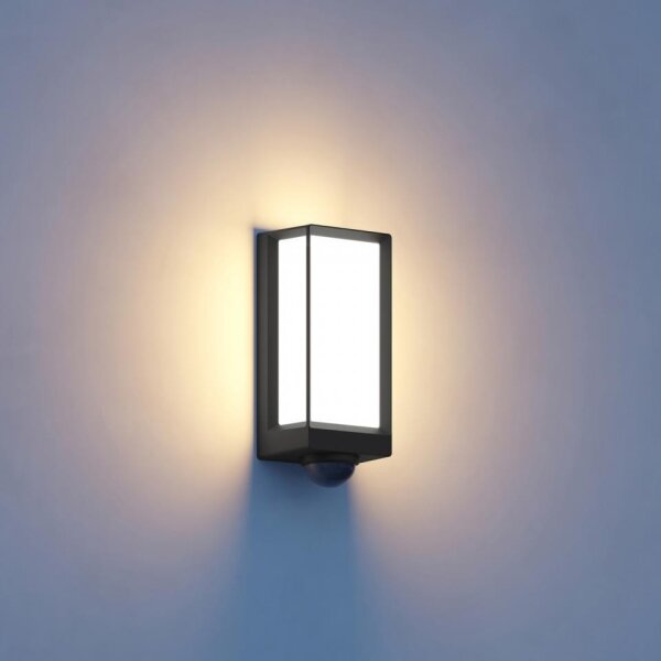 Steinel 085261 - LED Applique da esterno con sensore L42SC LED/13W/230V