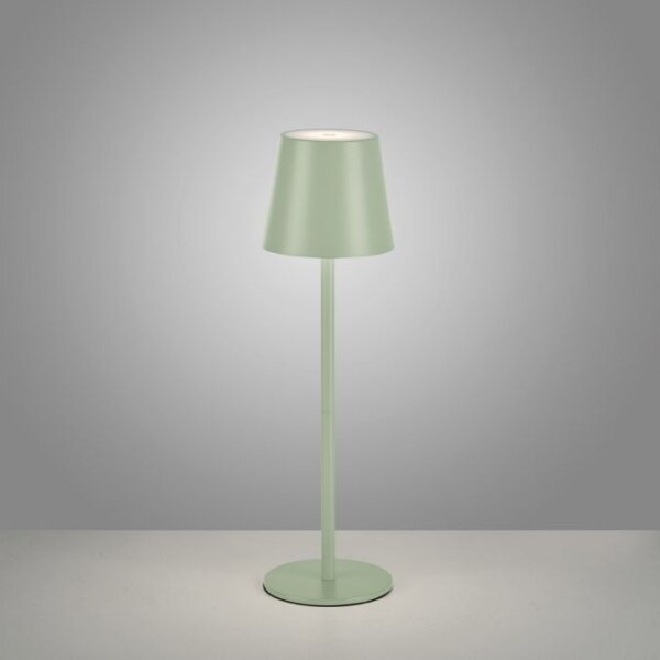 Leuchten Direkt 19250-43 - LED Lampada ricaricabile da esterno EURIA LED/3W/5V IP54