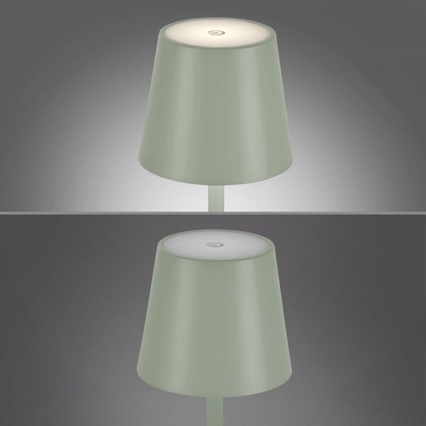 Leuchten Direkt 19250-43 - LED Lampada ricaricabile da esterno EURIA LED/3W/5V IP54