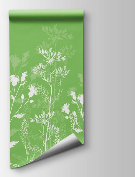 Carta da parati Fiori bianchi su sfondo verde, Carta da parati Floreale, Carta da parati popolare, t00631v1 - Tapeko.it