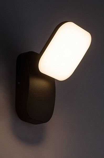 Rabalux 77057 - Applique a LED da esterno ODIEL LED/12W/230V IP44 nero