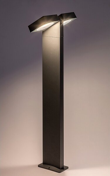 Rabalux 77102 - Lampada LED da esterno TELDE 2xLED/7W/230V IP54 antracite