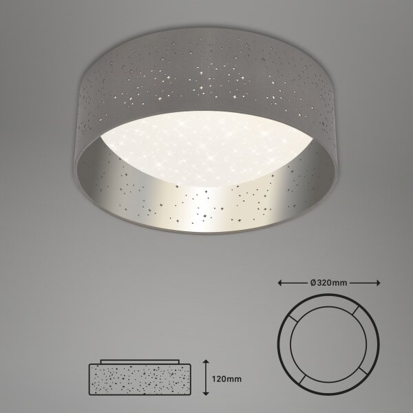 Briloner 3482014 - Lampada LED da soffitto STARRY LED/12W/230V grigio/argento